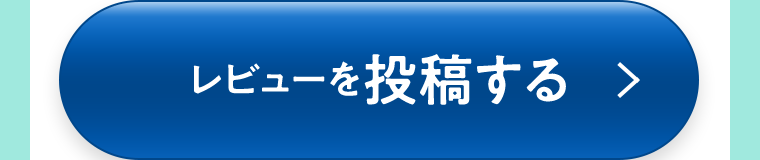 レビューを投稿する