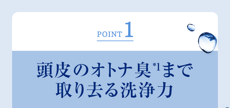 POINT1 頭皮のオトナ臭まで取り去る洗浄力