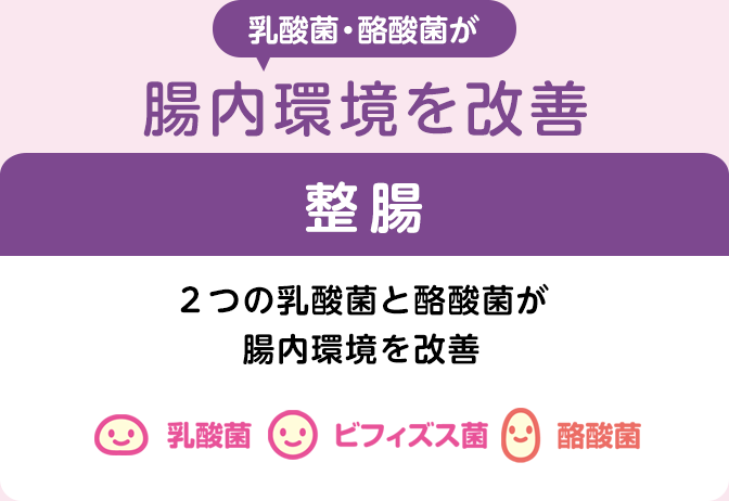 乳酸菌・酪酸菌が腸内環境を改善 整腸 ２つの乳酸菌と酪酸菌が腸内環境を改善 乳酸菌 ビフィズス菌 酪酸菌