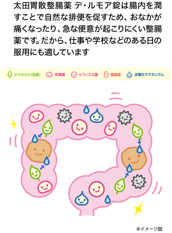 太田胃散整腸薬 デ・ルモア錠は腸内を潤すことで自然な排便を促すため、おなかが痛くなったり、急な便意が起こりにくい整腸薬です。だから、仕事や学校などのある日の服用にも適しています