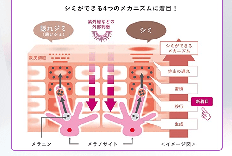 シミができる4つのメカニズムに着目！