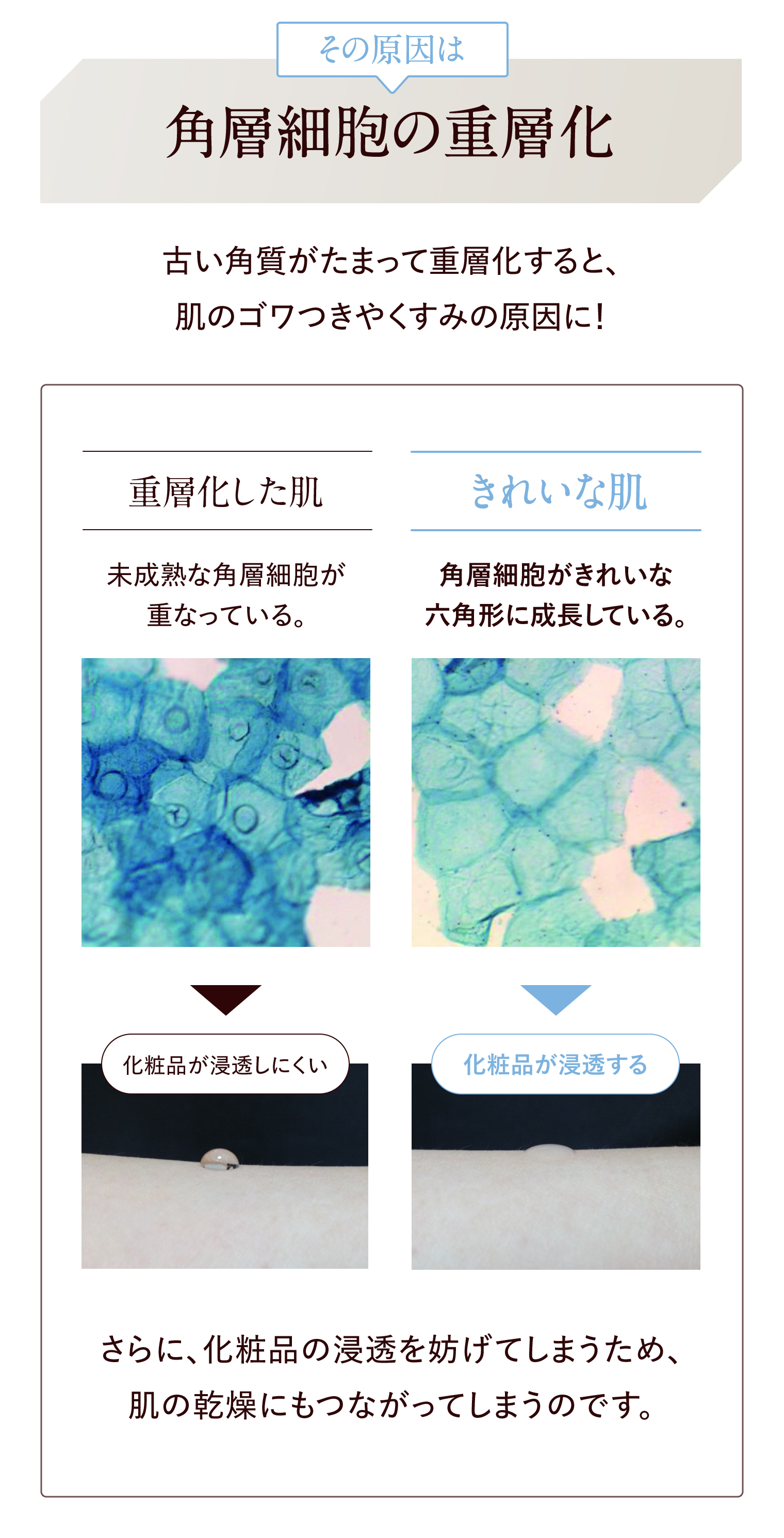 ザ・レチノタイムホワイトご購入＆レビュー投稿でマツキヨ