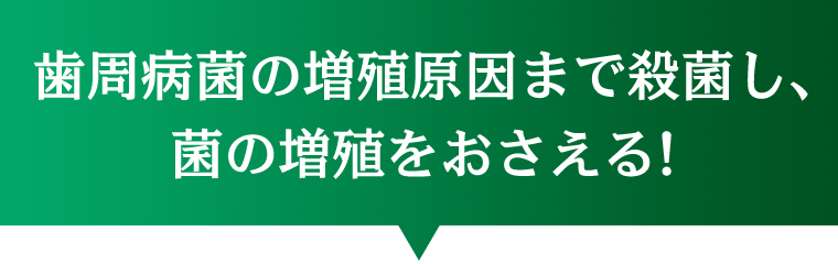 歯周病菌の増殖原因まで殺菌し、菌の増殖をおさえる！