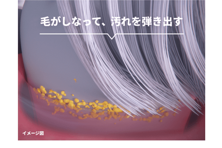 毛がしなって、汚れを弾き出す