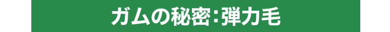 ガムの秘密：弾力毛