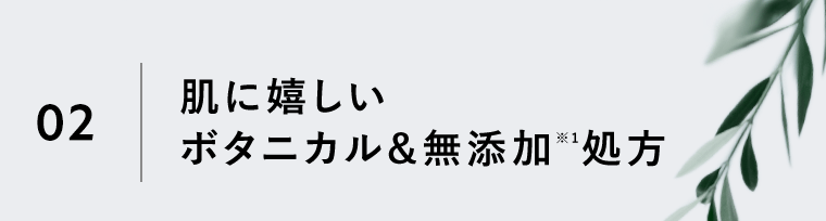 02｜肌に嬉しいボタニカル＆無添加※1処方