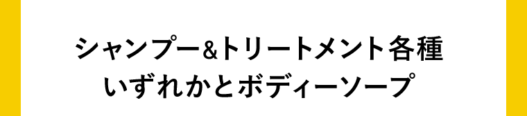 シャンプー＆トリートメント各種いずれかとボディーソープ