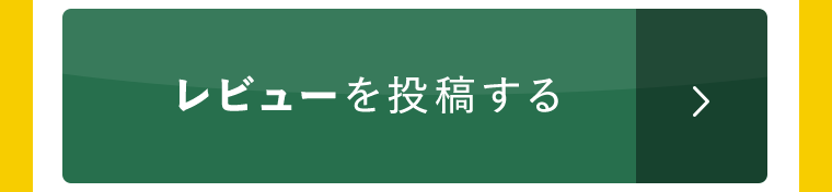 レビュー投稿する
