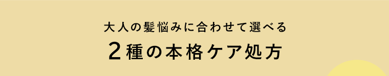 大人の髪悩みに合わせて選べる2種の本格ケア処方