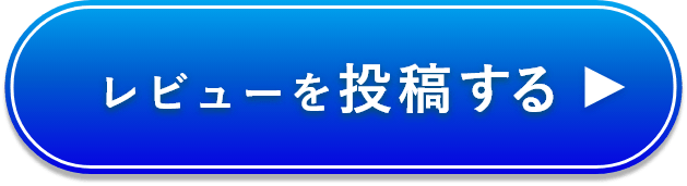 レビューを投稿する