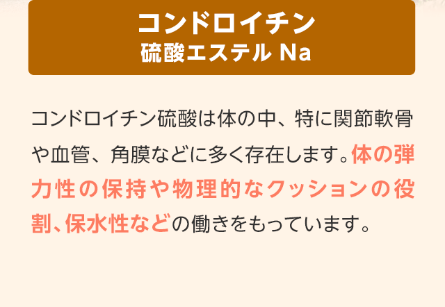 コンドロイチン　硫酸エステル Na　コンドロイチン硫酸は体の中、特に関節軟骨や血管、角質などに多く存在します。体の弾力性の保持や物理的なクッションの役割、保水性などの働きをもっています。