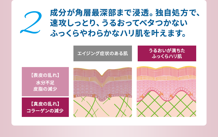 2　ふっくらやわらかなハリ肌を叶えます。