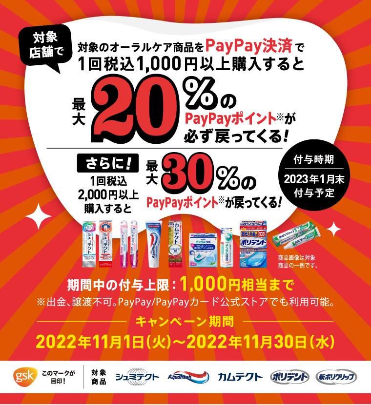 イメージ：paypay_lp_top
