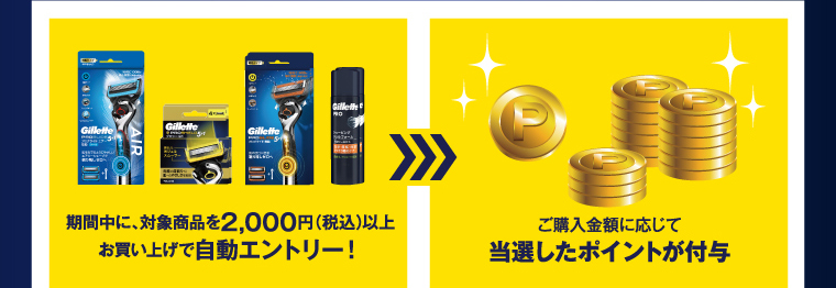 期間中に、対象商品を2,000円（税込）以上お買い上げで自動エントリー！ ご購入金額に応じて当選したポイントが付与