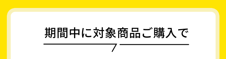 期間中に対象商品ご購入で
