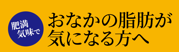 肥満気味でおなかの脂肪が気になる方へ