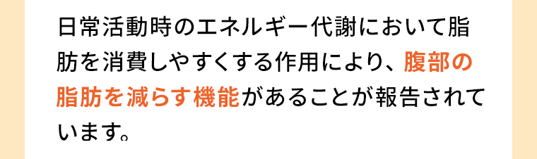 日常活動時のエネルギー代謝において脂肪を消費しやすくする作用により、 腹部の脂肪を減らす機能があることが報告されています。