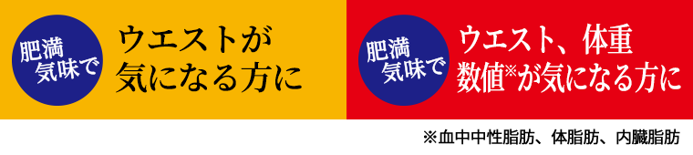 肥満気味でウエストが気になる方に／肥満気味でウエスト・体重　数値※が気になる方に　※血中中性脂肪、体脂肪、内臓脂肪