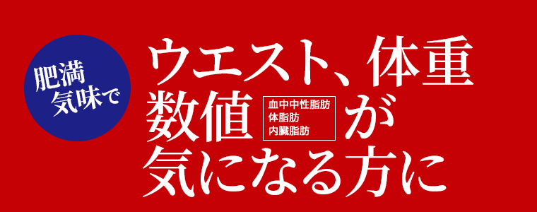 肥満気味でウエスト、体重　数値（血中中性脂肪、体脂肪、内臓脂肪）が気になる方に