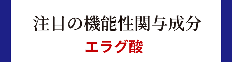 注目の機能性関与成分　エラグ酸