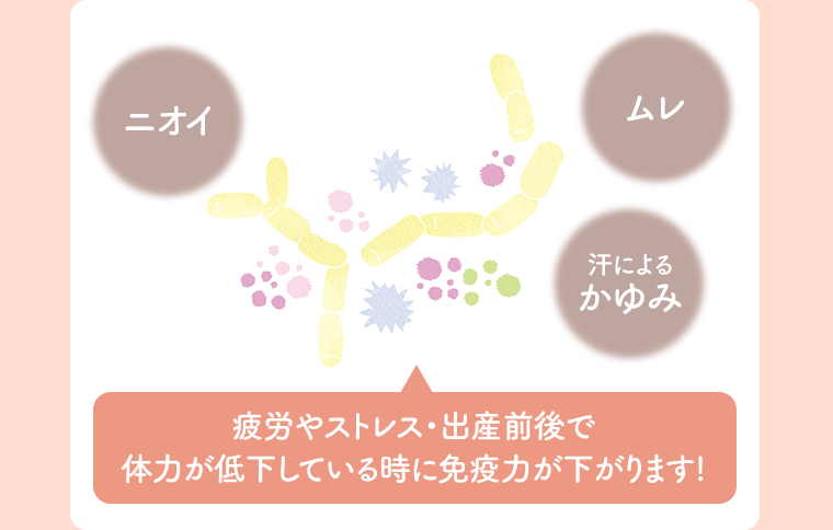 疲労やストレス・出産前後で体力が低下している時に免疫力が下がります！
