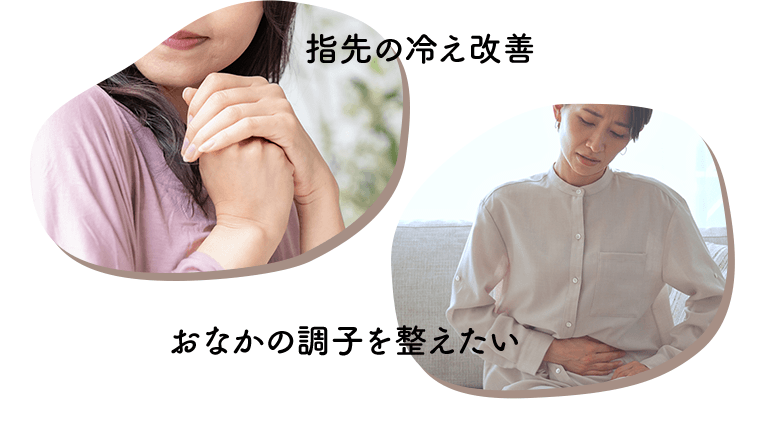 指先の冷え改善　おなかの調子を整えたい
