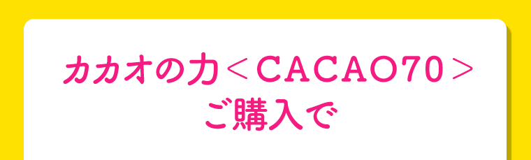 カカオの力〈CACAO70〉ご購入で