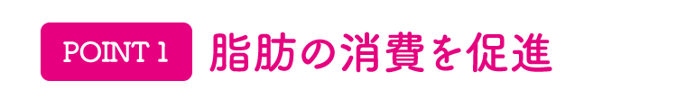 [POINT 1]脂肪の消費を促進