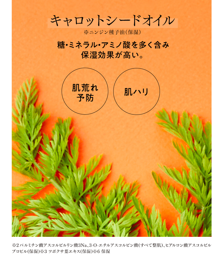 キャロットシードオイル 糖・ミネラル・アミノ酸を多く含み保湿効果が高い。