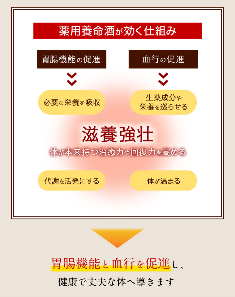 薬用養命酒が効く仕組み　胃腸機能と血行を促進し、健康で丈夫な体へ導きます