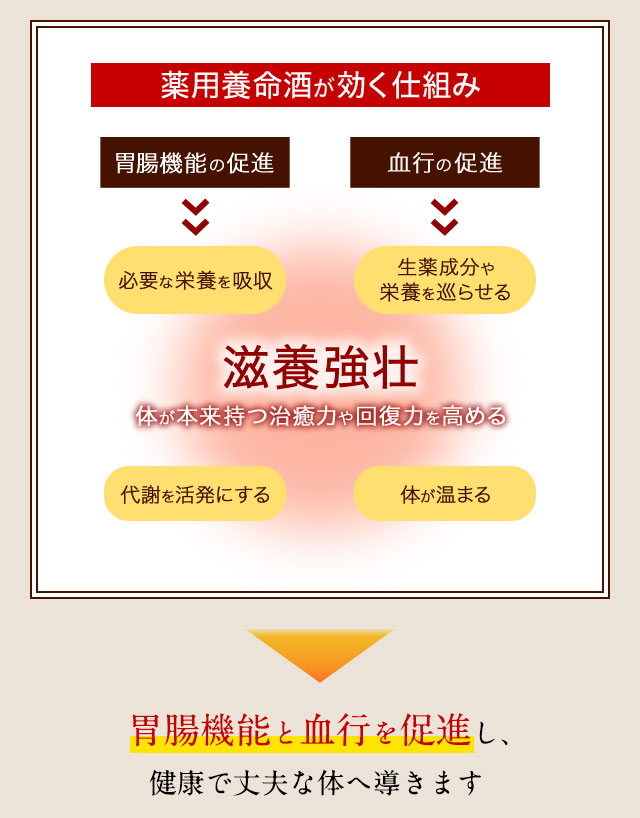 薬用養命酒が効く仕組み　胃腸機能と血行を促進し、健康で丈夫な体へ導きます