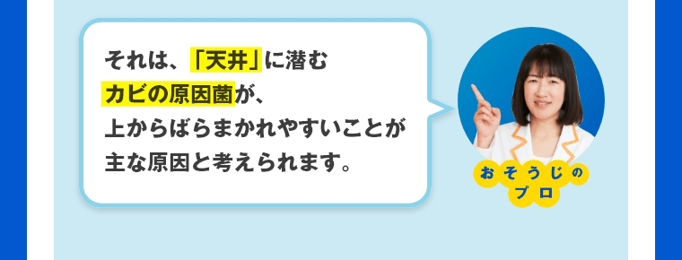 それは、「天井」に潜むカビの原因菌が、上からばらまかれやすいことが主な原因と考えられます。　おそうじのプロ
