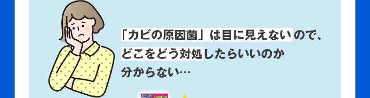 「カビの原因菌」は目に見えないので、どこをどう対処したらいいのか分からない…