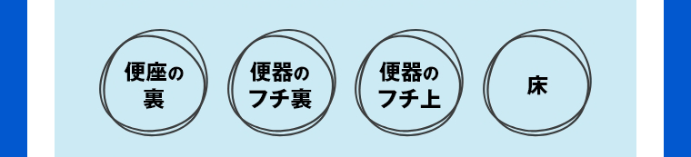 便座の裏　便器のフチ裏　便器のフチ上　床