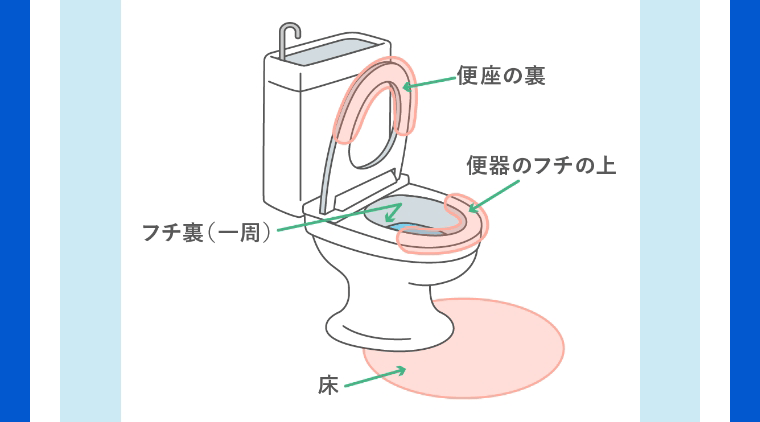 便座の裏　便器のフチ裏　便器のフチ上　床