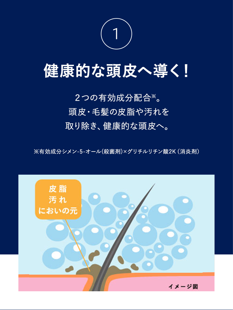 ①健康的な頭皮へ導く!2つの有効成分配合。 頭皮・毛髪の皮脂や汚れを取り除き、健康的な頭皮へ。