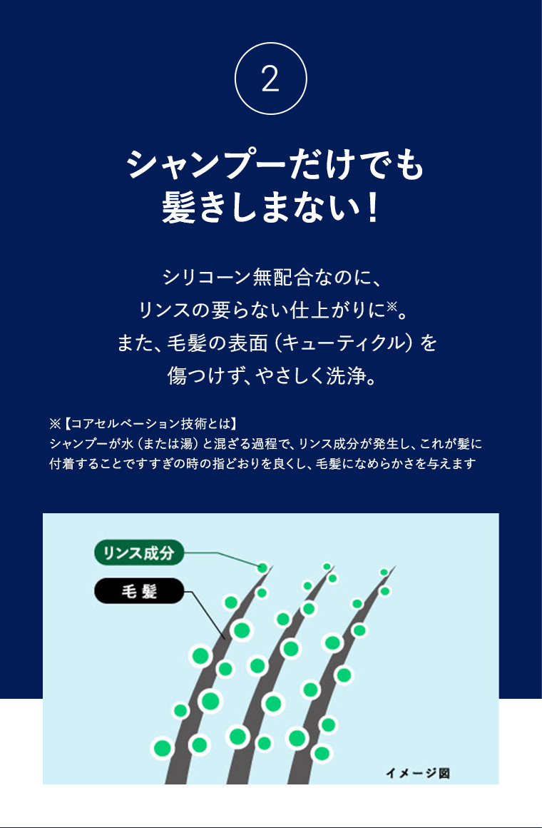 ②シャンプーだけでも髪きしまない!シリコーン無配合なのに、リンスの要らない仕上がりに。 また、毛髪の表面(キューティクル)を傷つけず、やさしく洗浄。 ※【コアセルベーション技術とは】シャンプーが水(または湯)と混ざる過程で、リンス成分が発生し、これが髪に 付着することですすぎの時の指どおりを良くし、毛髪になめらかさを与えます