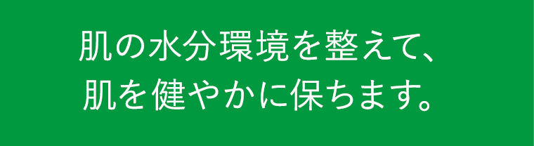 肌の水分環境を整えて、肌を健やかに保ちます。