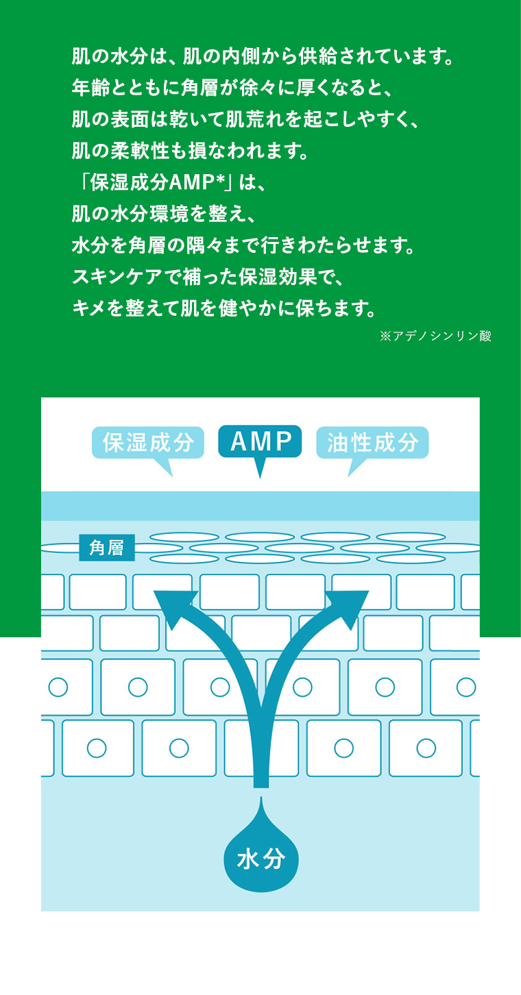 肌の水分は、肌の内側から供給されています。 年齢とともに角層が徐々に厚くなると、肌の表面は乾いて肌荒れを起こしやすく、肌の柔軟性も損なわれます。 「保湿成分AMP」は、肌の水分環境を整え、水分を角層の隅々まで行きわたらせます。 スキンケアで補った保湿効果で、キメを整えて肌を健やかに保ちます。