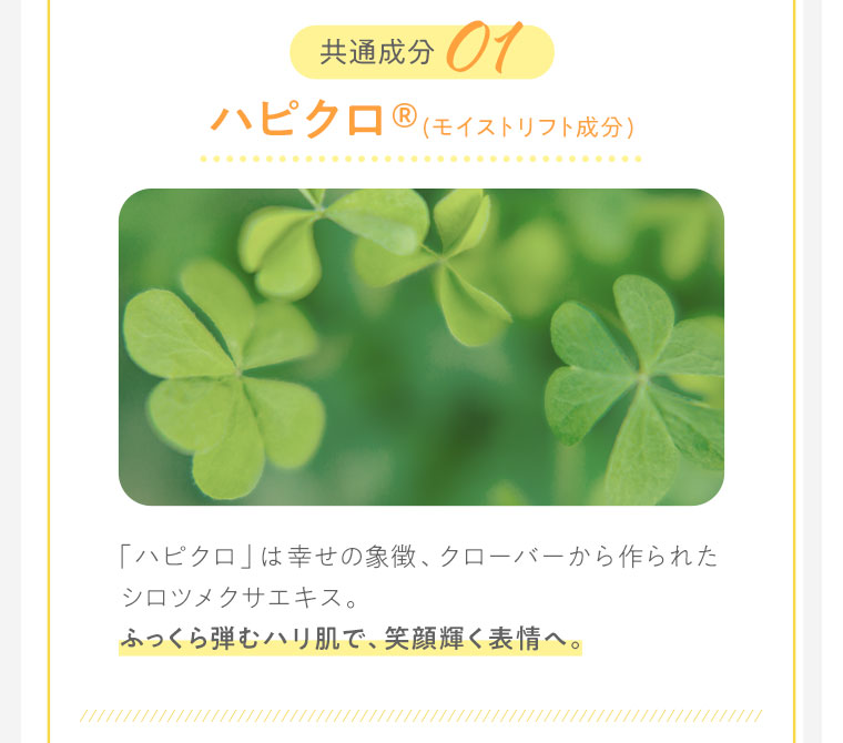共通成分01　ハピクロ