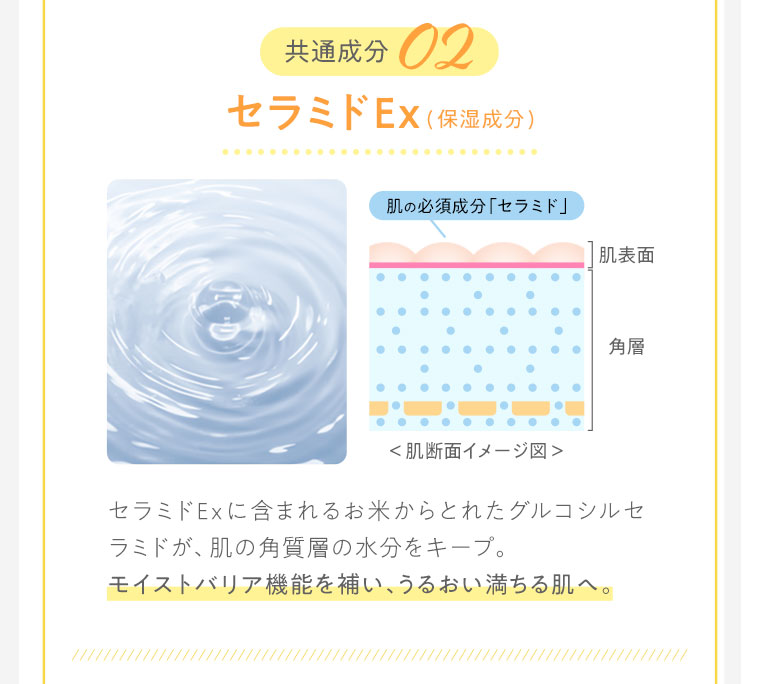 共通成分02　セラミドEx
