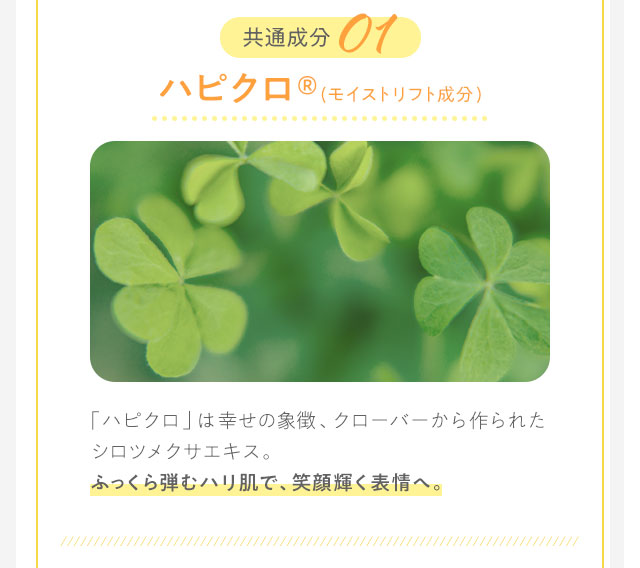 共通成分01　ハピクロ