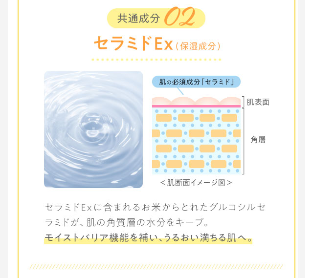 共通成分02　セラミドEx
