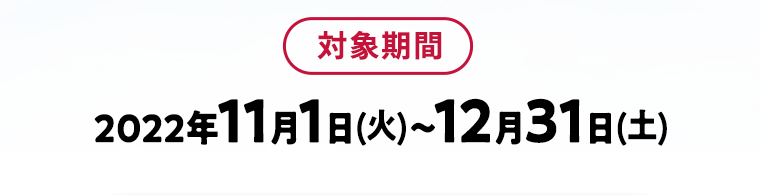 対象期間