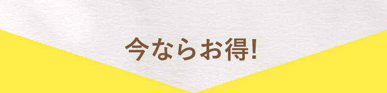 今ならお得！