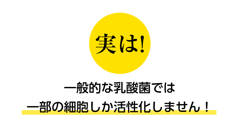 実は！一般的な乳酸菌では一部の細胞しか活性化しません！