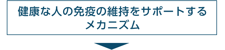 健康な人の免疫の維持をサポートするメカニズム