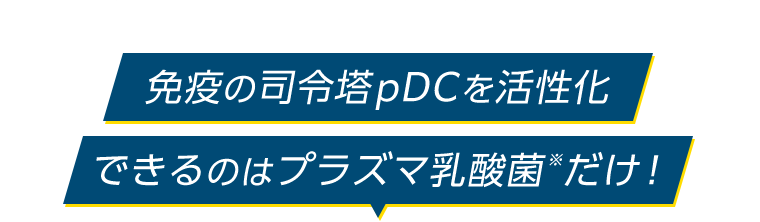 免疫の司令塔pDCを活性化できるのはプラズマ乳酸菌※だけ！