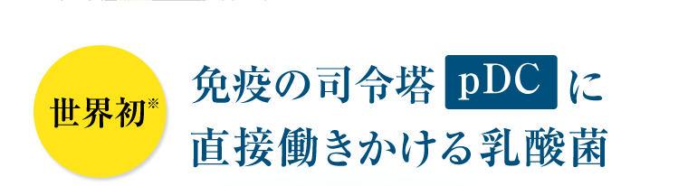 世界初※免疫の司令塔pDCに直接働きかける乳酸菌