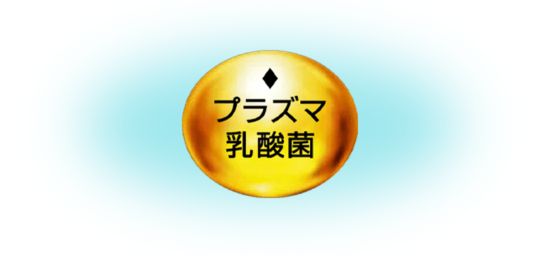 プラズマ乳酸菌